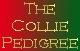 The Collie Pedigree